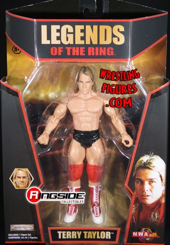 http://www.ringsidecollectibles.com/Merchant2/graphics/00000001/di6_terry_taylor_moc.jpg