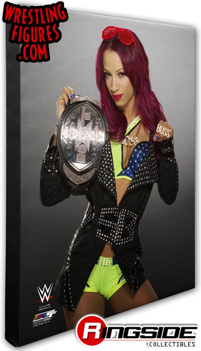 http://www.ringsidecollectibles.com/mm5/graphics/00000001/canvas_016_P.jpg