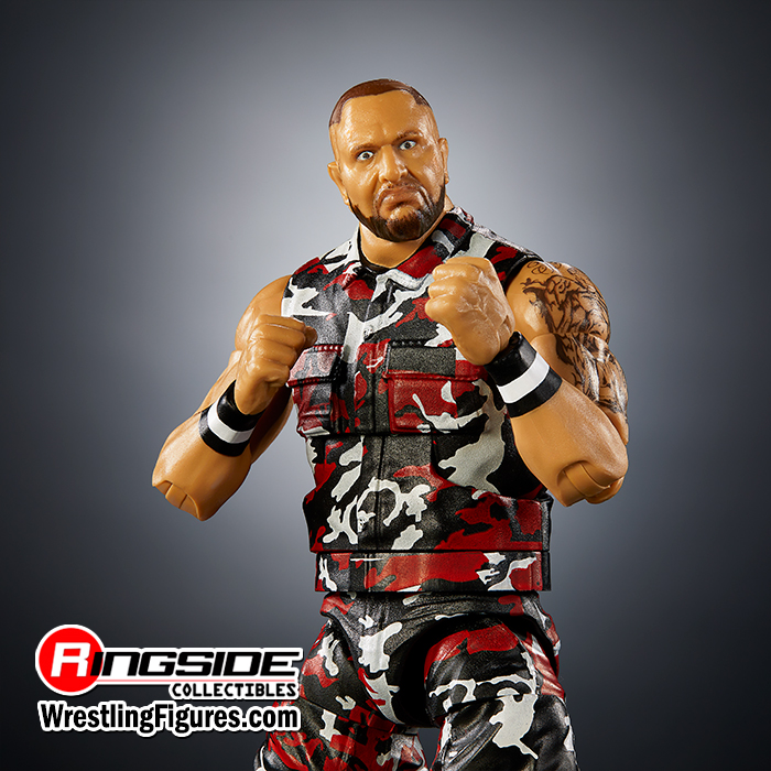 Bubba Ray Dudley, Pro Wrestling