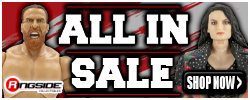 AEW All In Sale at RINGSIDE!