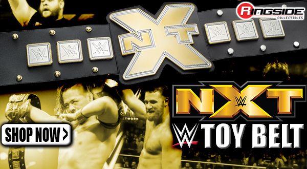 nxt championship toy title