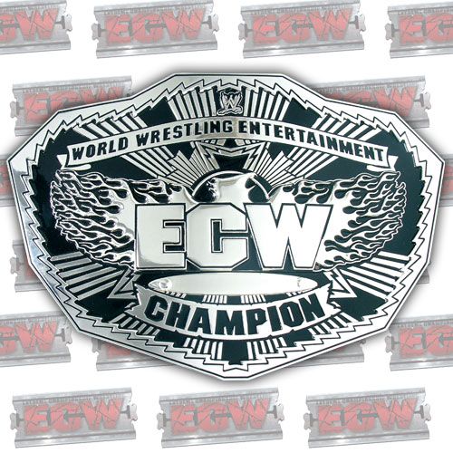 WWE/WCW/ECW Replica Belt Wall Hanger (Kid Size)