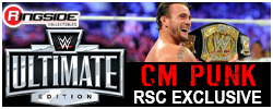 Mattel CM Punk (MITB 2011) - WWE Ultimate Edition Ringside Exclusive!